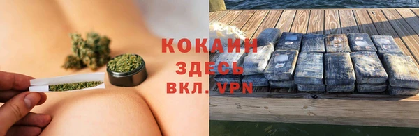 крисы Дмитров