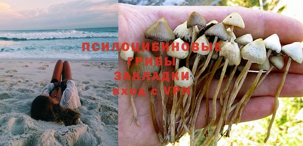 крисы Дмитров