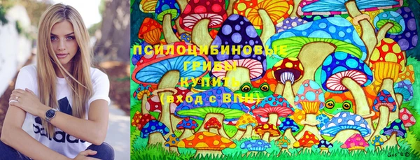ECSTASY Дмитровск