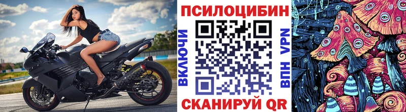 Псилоцибиновые грибы Cubensis  shop клад  Домодедово 