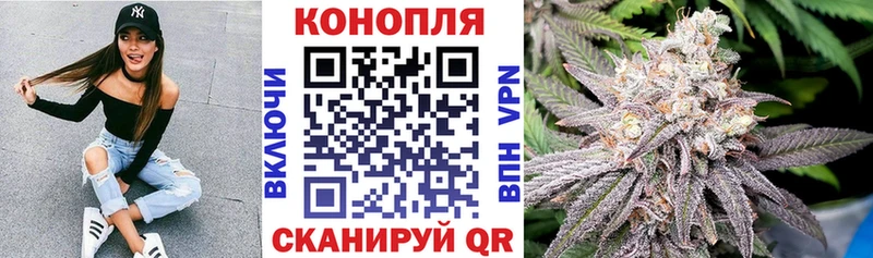 Бошки марихуана ГИДРОПОН  Домодедово 